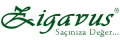 Zigavus