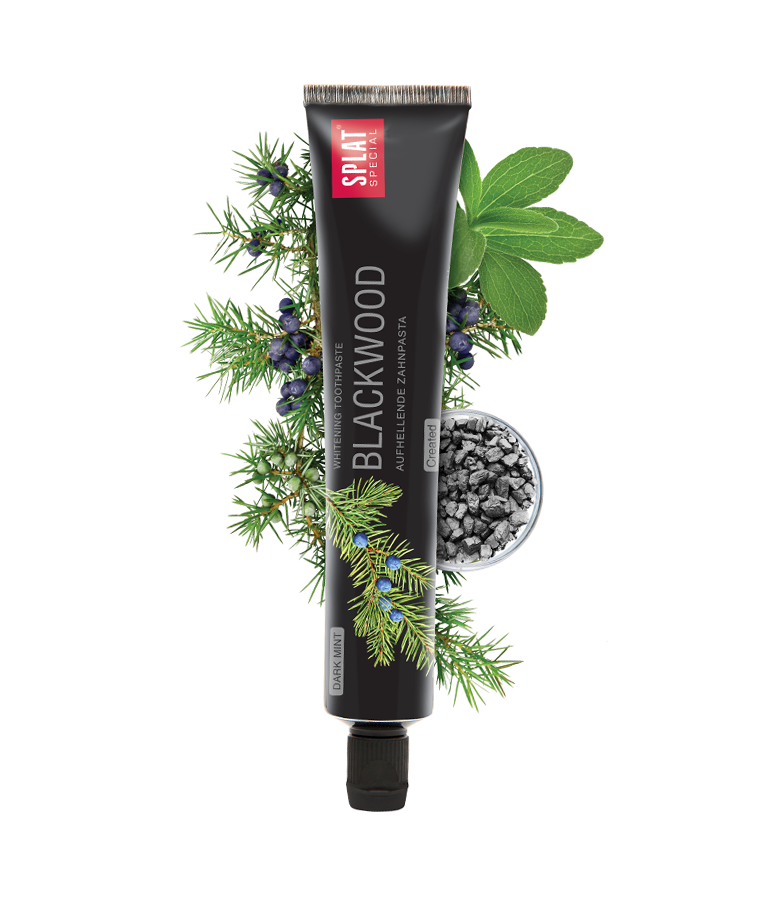 Splat Blackwood Diş Macunu 75 ml